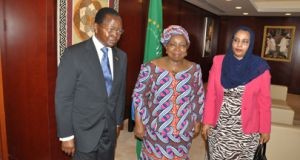 Comissão da União Africana trabalha com os provedores