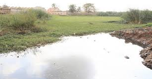 Angola e Brasil renovam cooperação da pesca artesanal e aquicultura