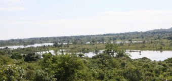 Expedições levam descobrimento de novas espécies de animais em Angola