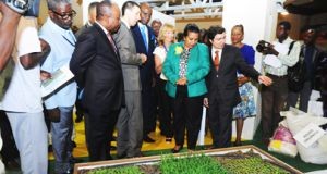 São Tomé coopera nas energias limpas