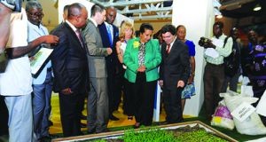 Angola defende ambiente saudável