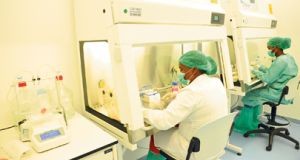 Novo laboratório testa qualidade de alimentos
