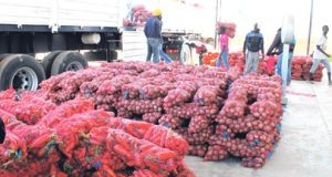 Conferência da FAO dá atenção à mulher