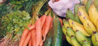 Coreia forma agricultores