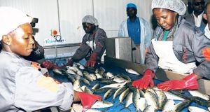 Mercado de peixe na Ilha de Luanda