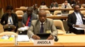 Secretário de Estado realça esforços de Angola para implementação dos Objectivos do Milénio