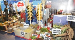 Municípios de Angola têm um forte potencial