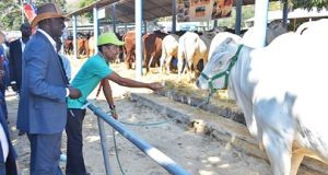 Agricultura anuncia financiamentos