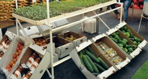 Agricultura tem mercado rural de sementes