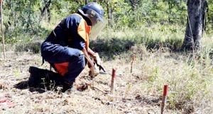 Instituto entrega terras aráveis livres de engenhos explosivos