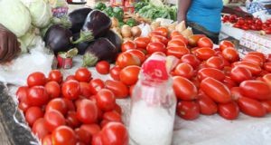Produção agrícola tem ajuda japonesa