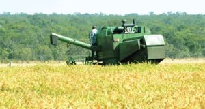 Jovens fazendeiros desbravam o campo