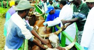 Fundos europeus no sector agrário