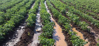 Lunda Norte desperta para a agricultura