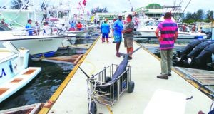 Milhares de turistas visitaram o Namibe