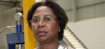Namibe pode potenciar obtenção de divisas com produção de rochas