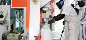Moageira de Luanda reduz a importação de farinha de trigo