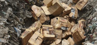 Incinerado carapau impróprio para consumo humano