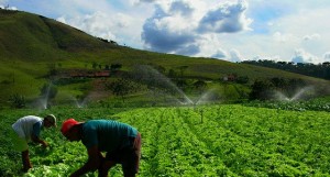 Financiamento do Fida visou fundamentalmente comunidades rurais FOTO: ROSÁRIO DOS SANTOS