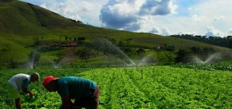 Fida investe USD 50 milhões na agricultura