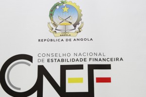 LOGOTIPO DO CONSELHO NACIONAL DE ESTABILIDADE FINANCEIRA FOTO: CLEMENTE