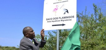 Saco dos Flamingos identificada como primeiro sítio Ramsar do país