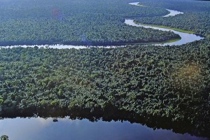 COMEMORA-SE HOJE O DIA MUNDIAL DA BIODIVERSIDADE FOTO: ROSÁRIO DOS SANTOS