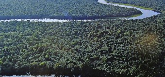 Angola atenta ao valor da biodiversidade para economia