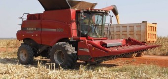 Ano agrícola 2018/2019: Produção de cereais prevê crescer 25 por cento