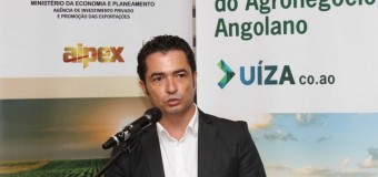 Mercado ganha plataforma digital de promoção de negócios