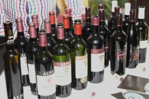 PROVA DE VINHOS DA ÁFRICA DO SUL (FOTO ILLUSTRAÇÃO) FOTO: ANTONIO ESCRIVAO