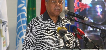 Ministro encoraja debate sobre diáspora africana