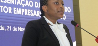 Activos das empresas públicas representam cerca de 45% do PIB