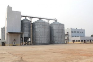 SILOS DA FAZENDA CAMAIANGALA, PROVÍNCIA DO MOXICO FOTO: DAVID DIAS