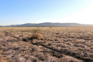 UMA REGIÃO DA PROVÍNCIA DO NAMIBE ATIINGIDA PELA SECASECA NA PROVÍNCIA FOTO: TARCISIO VILELA 