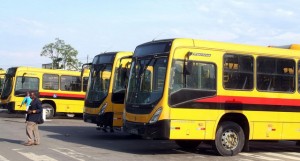 Alguns autocarros para transporte público (arquivo) FOTO: LEONARDO CASTRO