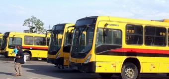 Novos autocarros “aptos” só em 2020