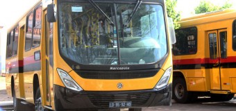 Novos autocarros facilitam circulação de pessoas e bens