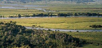 Angola reforça protecção da biodiversidade