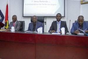 MESA REDONDA SOBRE A PROBLEMÁTICA DO FARDO EM ANGOLA FOTO: NELSON MALAMBA