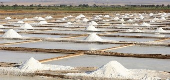 Salineiros querem adequar-se às normas da SADC