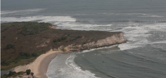 Clima “convida” golfinhos para a Baia de Moçâmedes