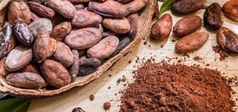 INCA distribui mais de duas mil plantas de palmar