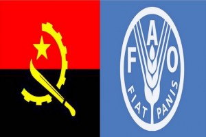 BANDEIRA DE ANGOLA E O LOGOTIPO DO FAO FOTO: DIVULGAÇÃO