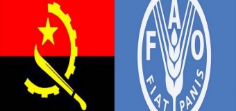 Angola possui potencialidades para combater a fome – FAO