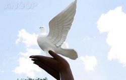 EMBAIXADORES ENALTECEM ESFORÇOS DE ANGOLA PARA PAZ EM ÁFRICA