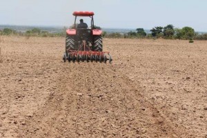 Preparação da terra para prática da agricultura na província da Huíla Foto: ANGOP