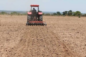 Preparação da terra para prática da agricultura na província da Huíla
Foto: ANGOP