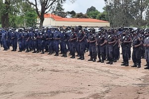 Efectivos da Polícia Nacional em parada Fotografia: Angop/Bié