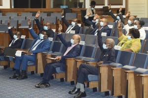 Deputados à Assembleia Nacional em trabalhos na especialidade Foto: Rosário dos Santos
